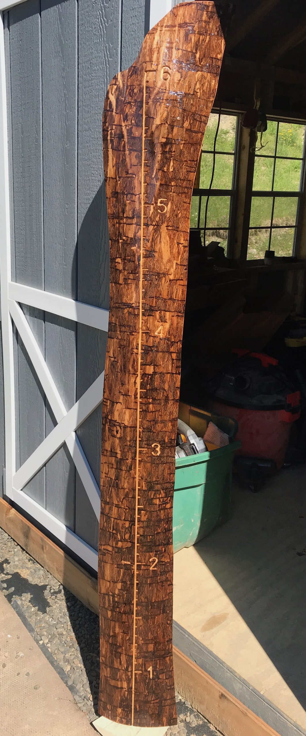 growth chart